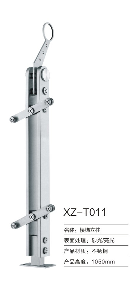 2-XZ-T011-.jpg